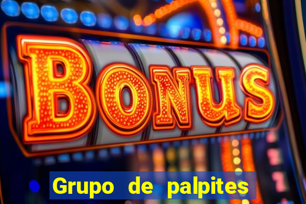 Grupo de palpites de futebol gratis